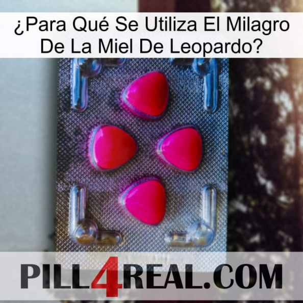 ¿Para Qué Se Utiliza El Milagro De La Miel De Leopardo 13.jpg